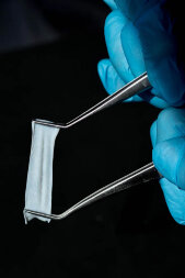 bioPLATE Membrane CONTUR / Биоплэйт - мембрана коллагеновая